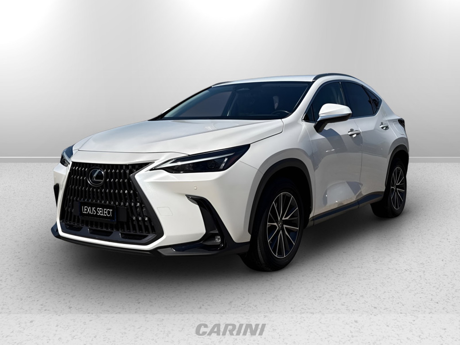 CARINI Lexus NX