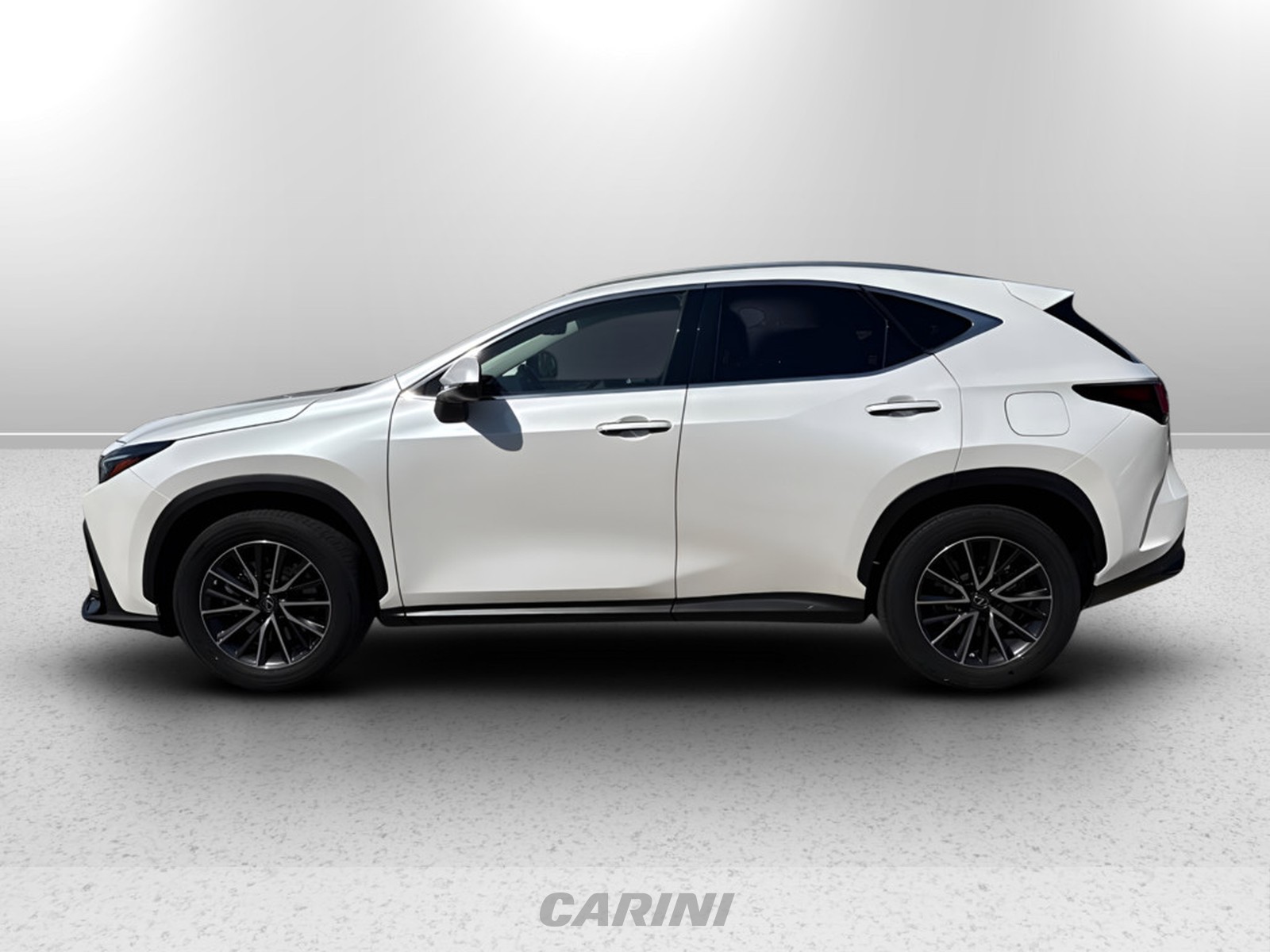CARINI Lexus NX