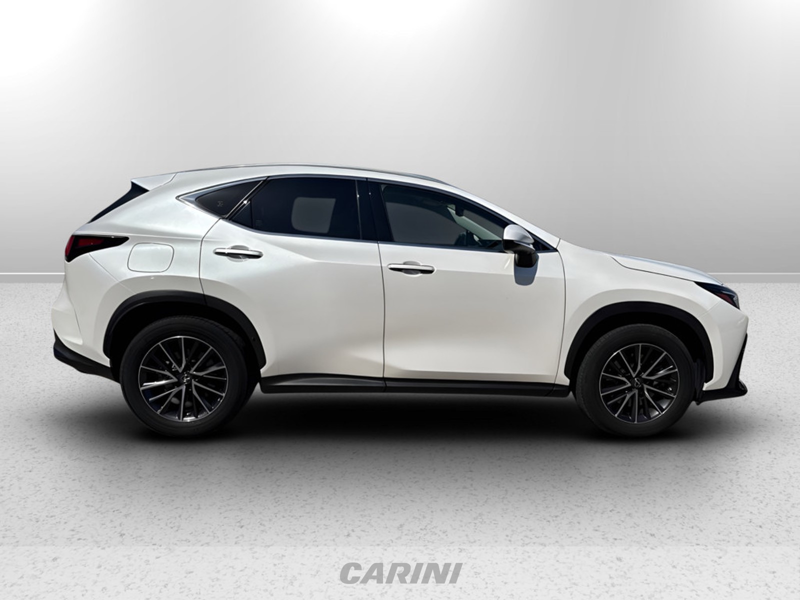 CARINI Lexus NX