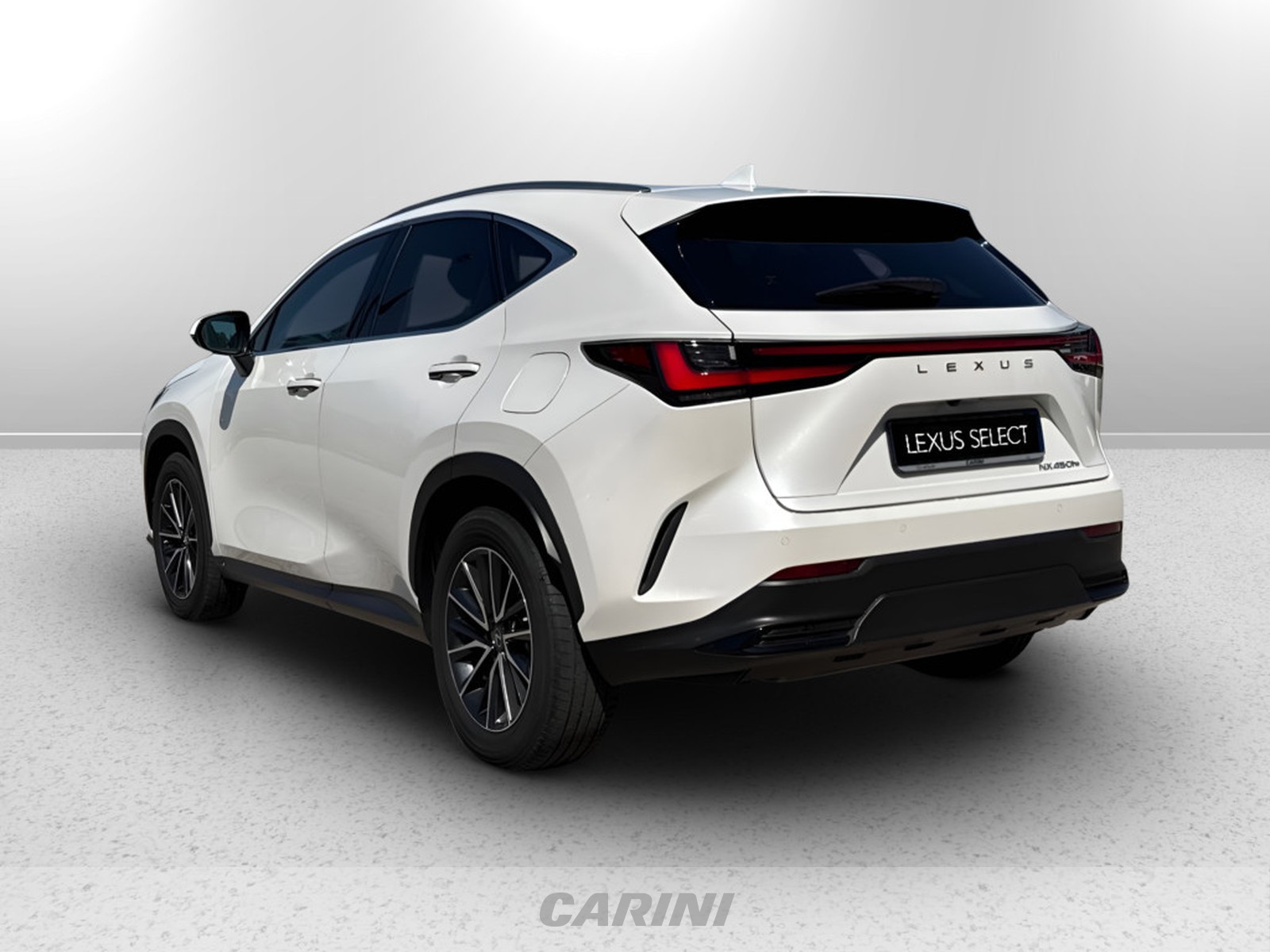CARINI Lexus NX