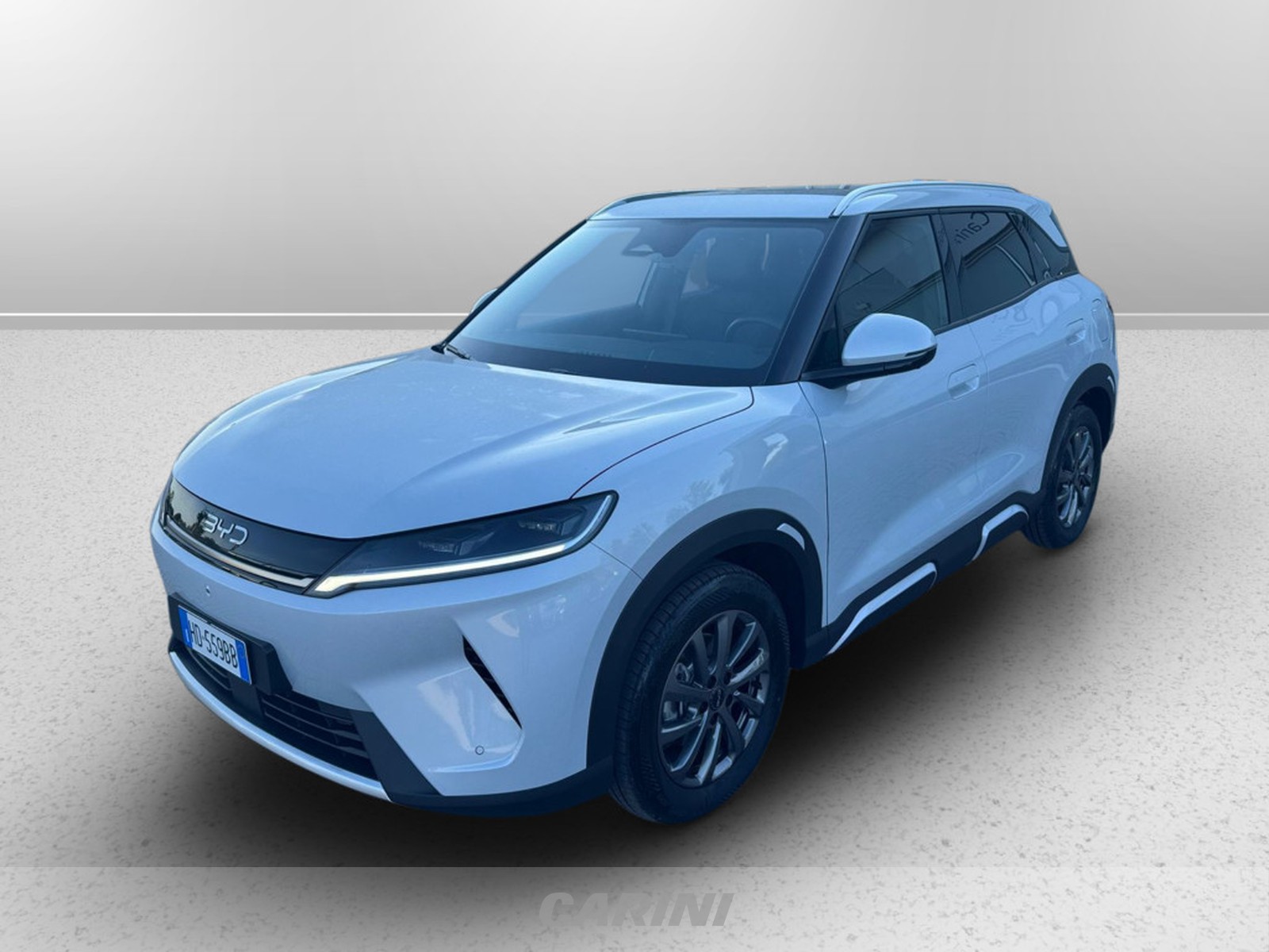 CARINI BYD Atto 2