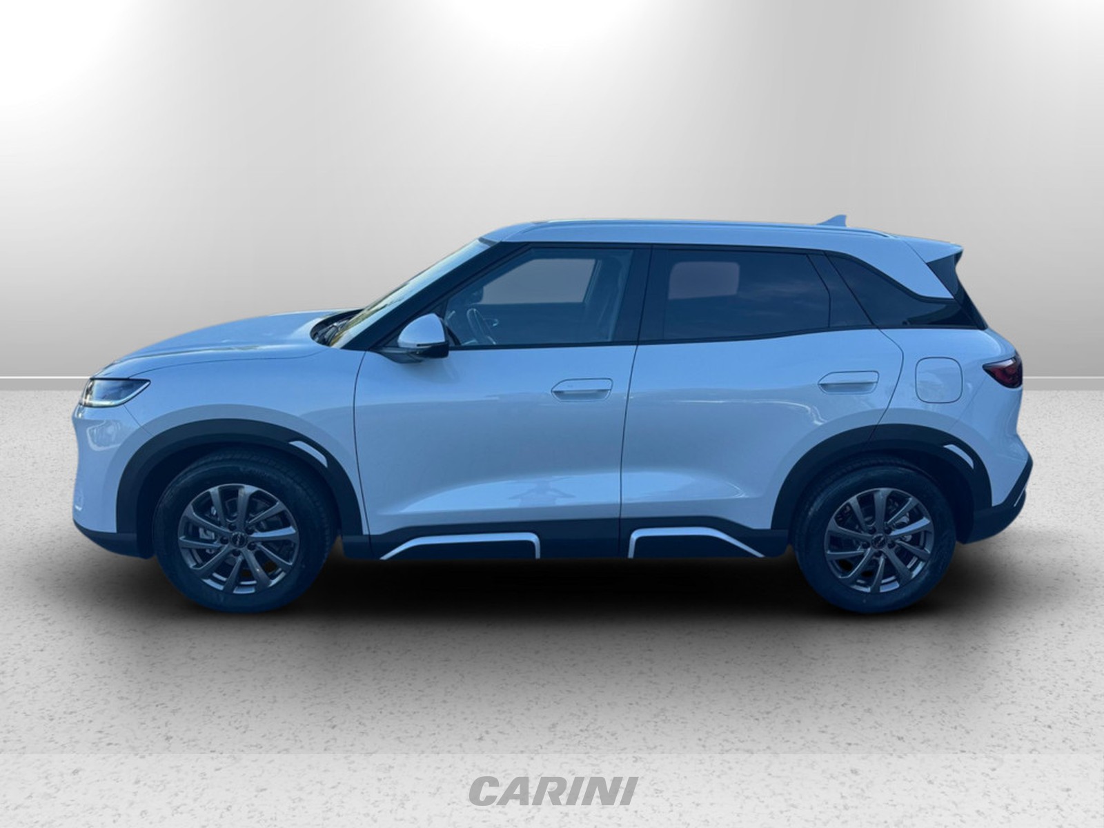 CARINI BYD Atto 2