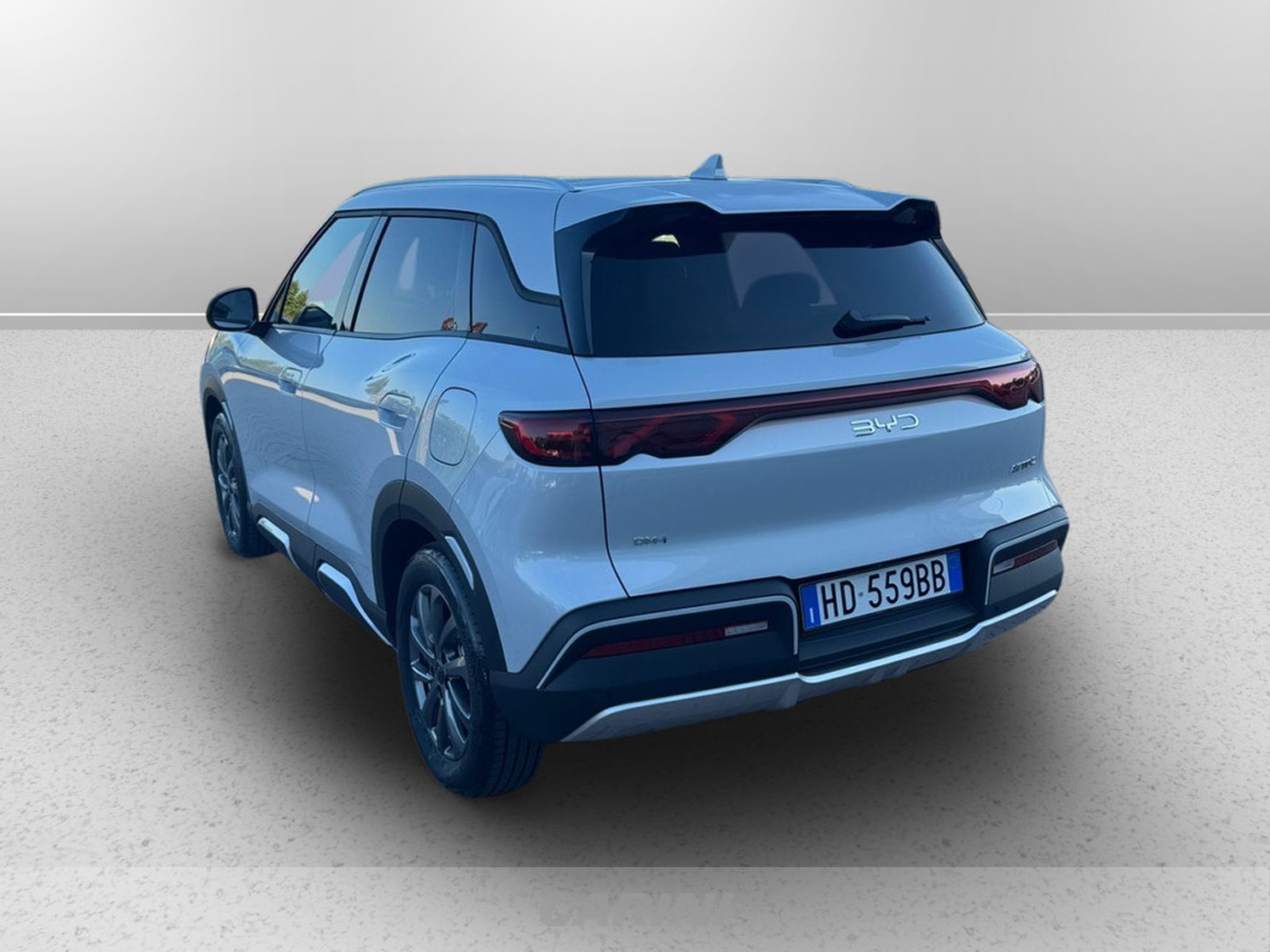 CARINI BYD Atto 2