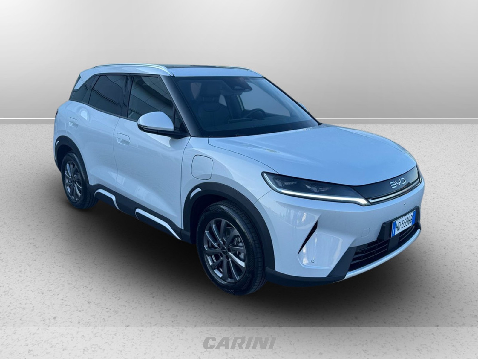 CARINI BYD Atto 2