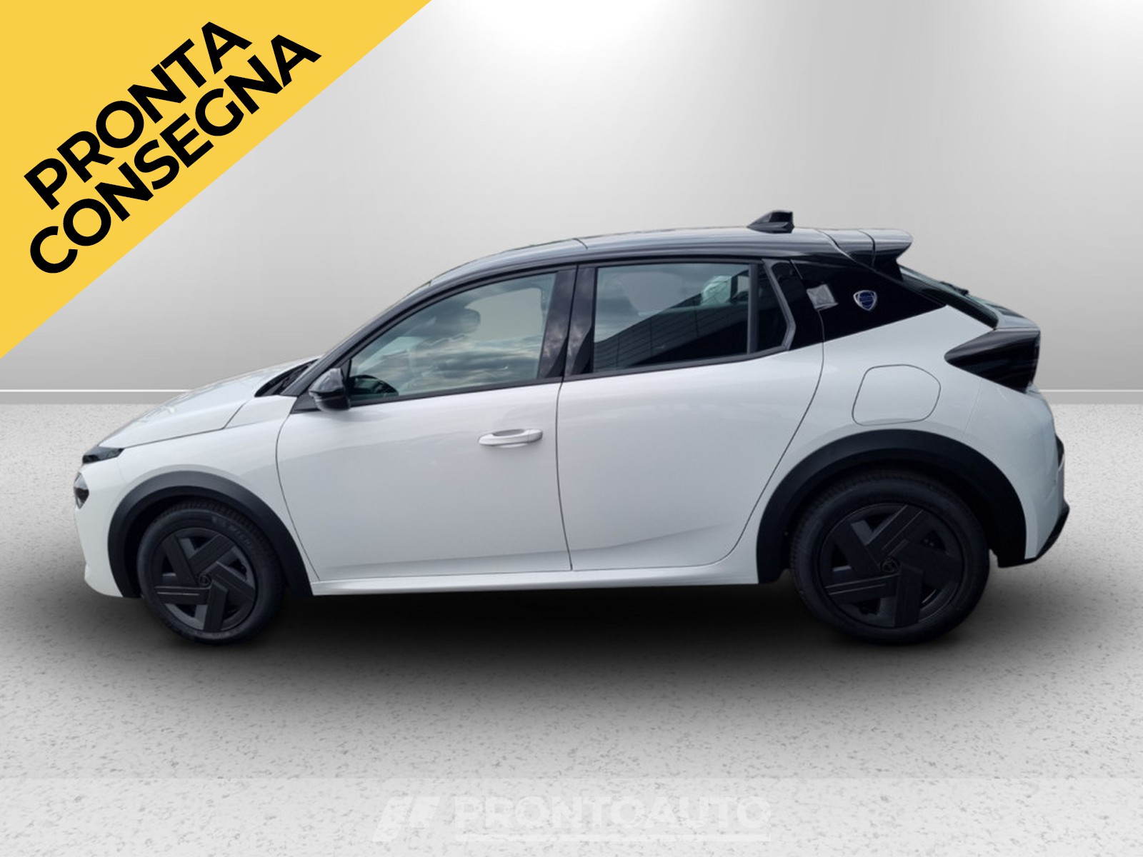 PRONTOAUTO Lancia Ypsilon