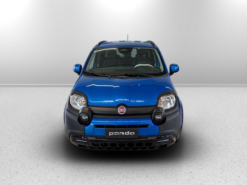 Fiat Pandina