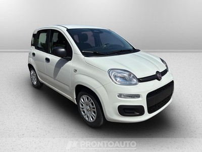 Fiat Pandina