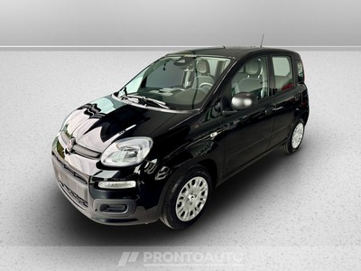 Fiat Pandina