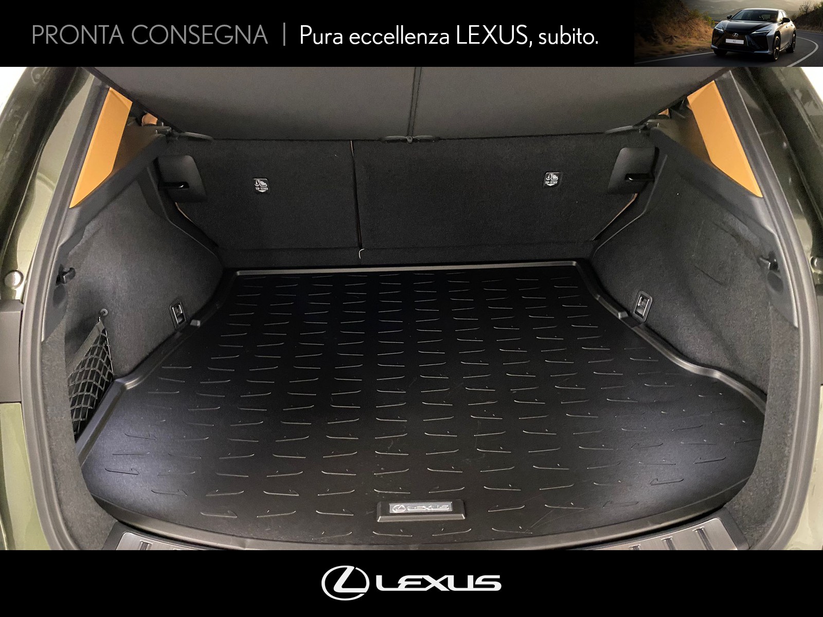 CARINI Lexus NX