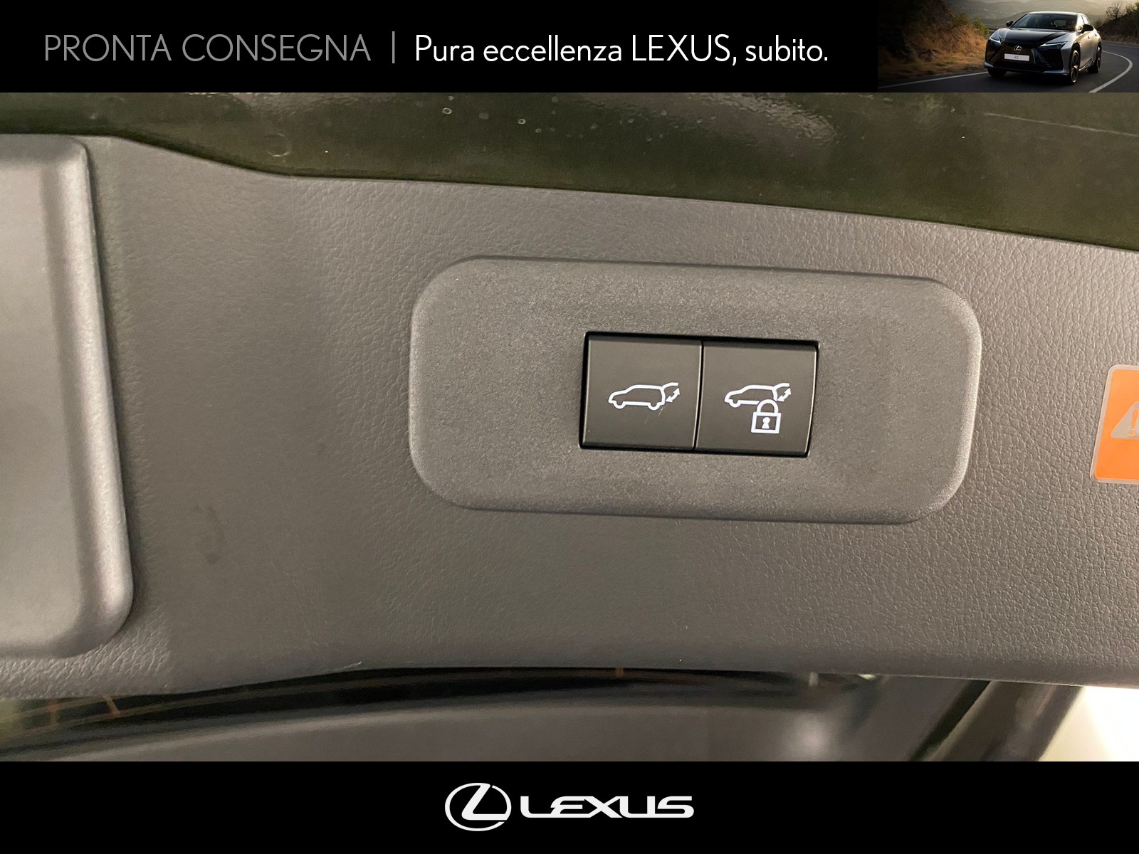 CARINI Lexus NX