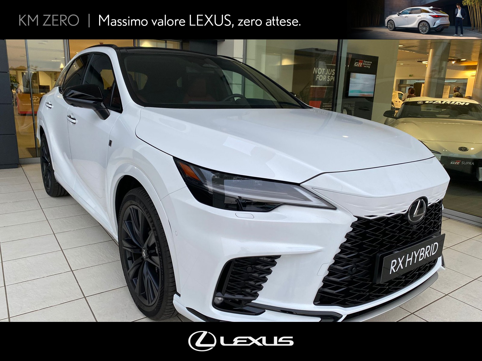 CARINI Lexus RX