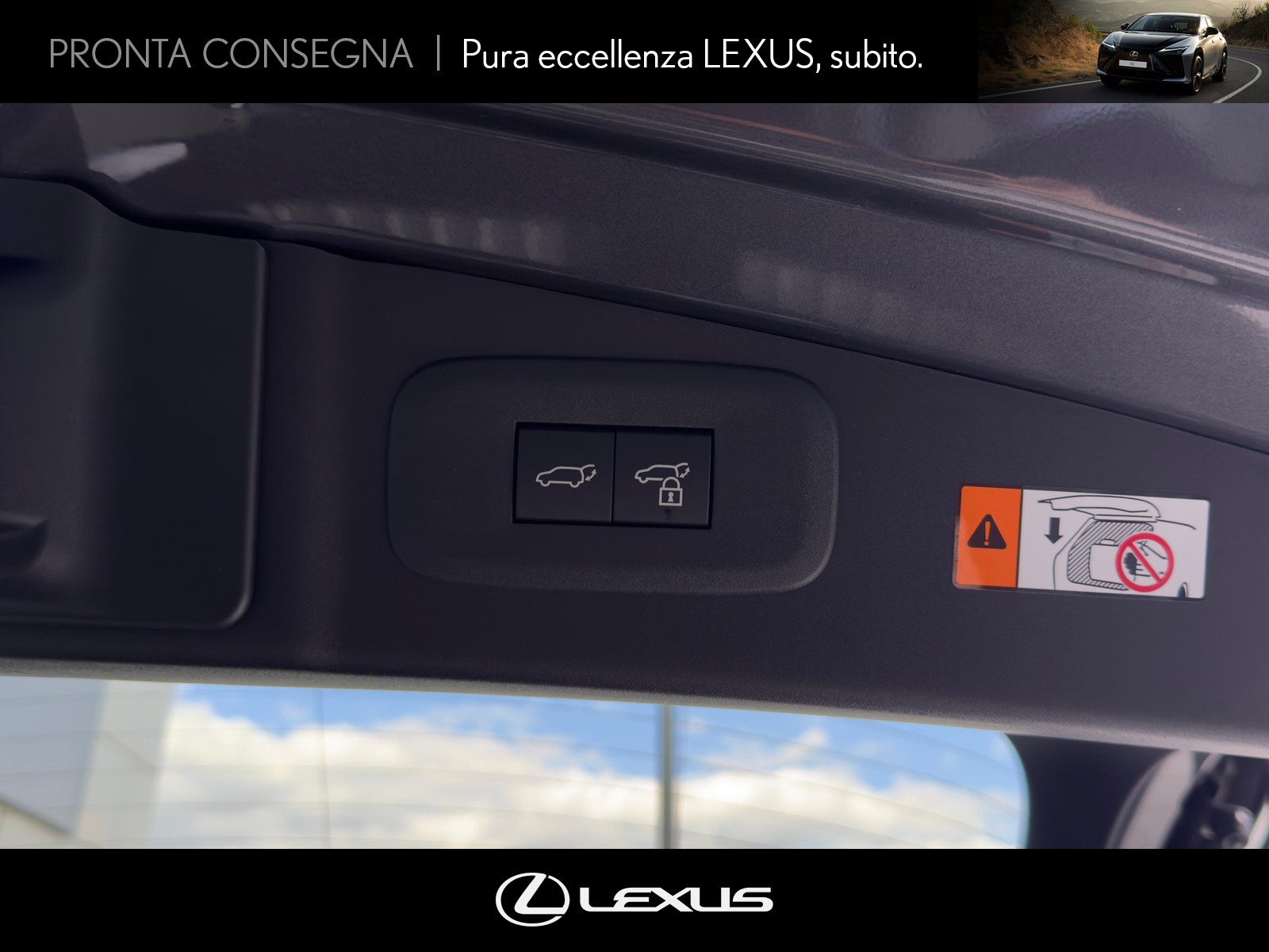 CARINI Lexus RZ