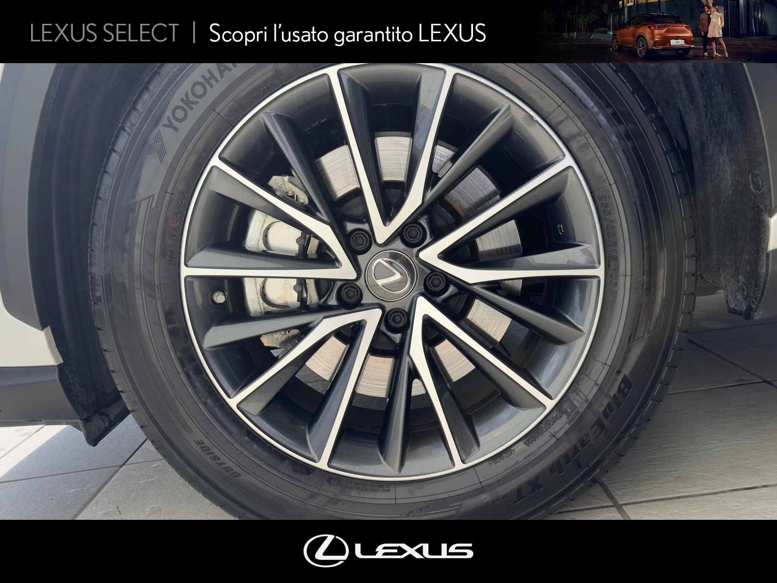 CARINI Lexus NX