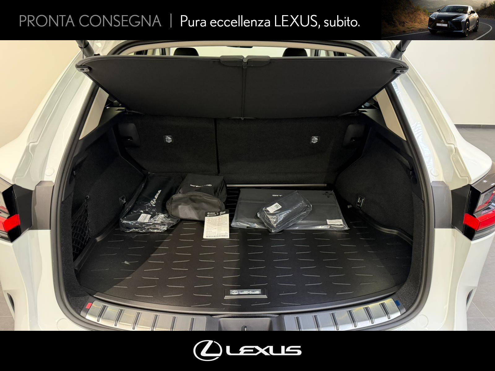 CARINI Lexus NX