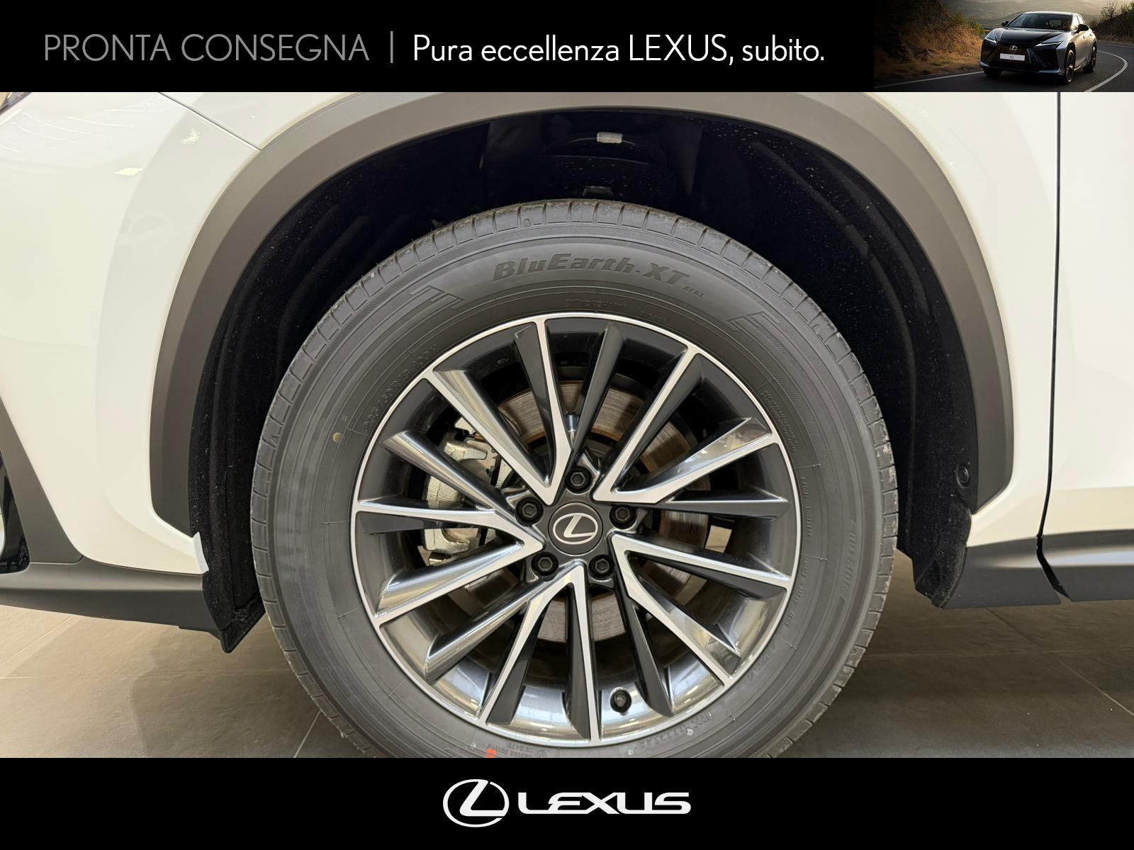 CARINI Lexus NX
