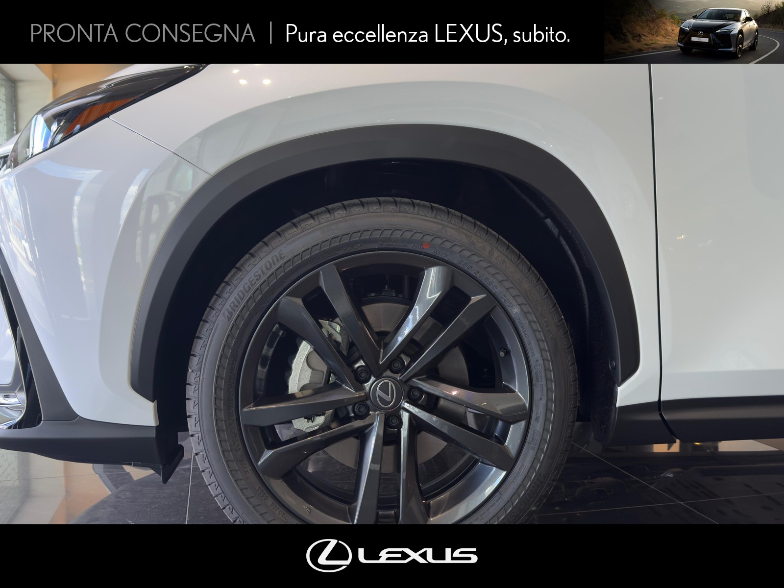 CARINI Lexus NX