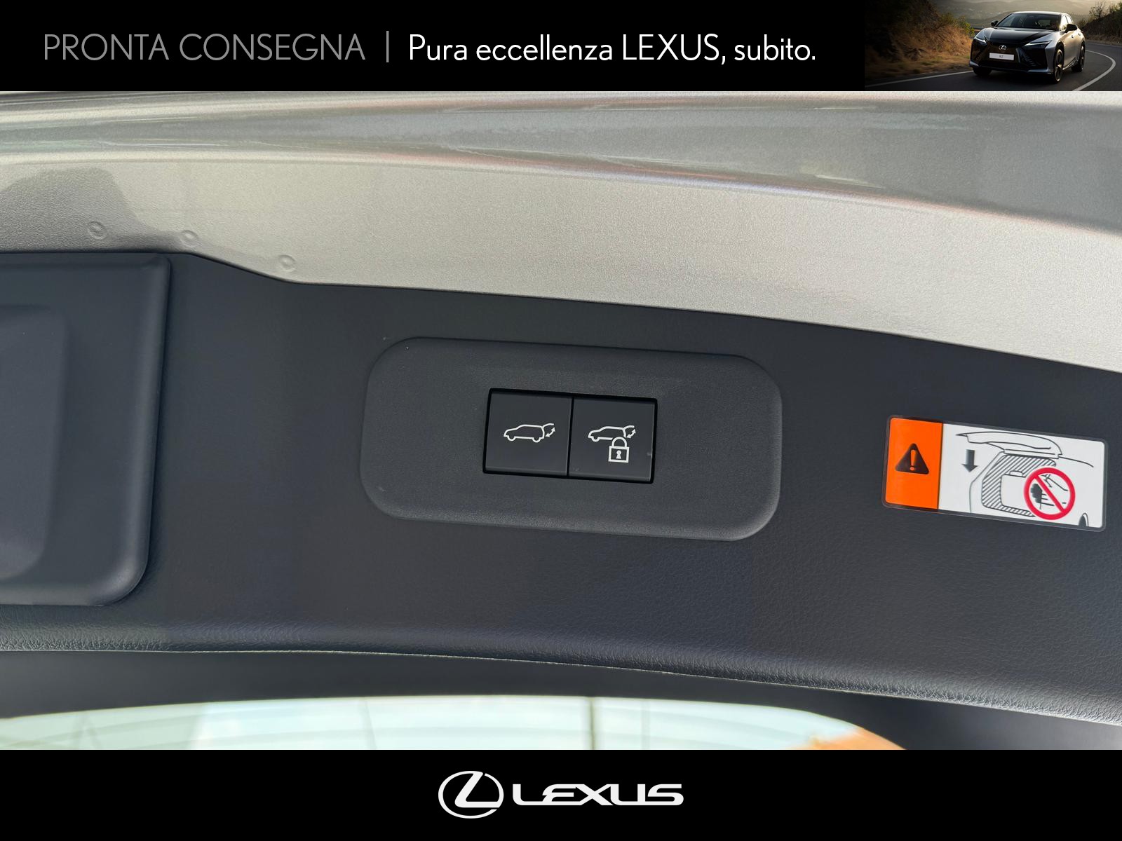 CARINI Lexus NX
