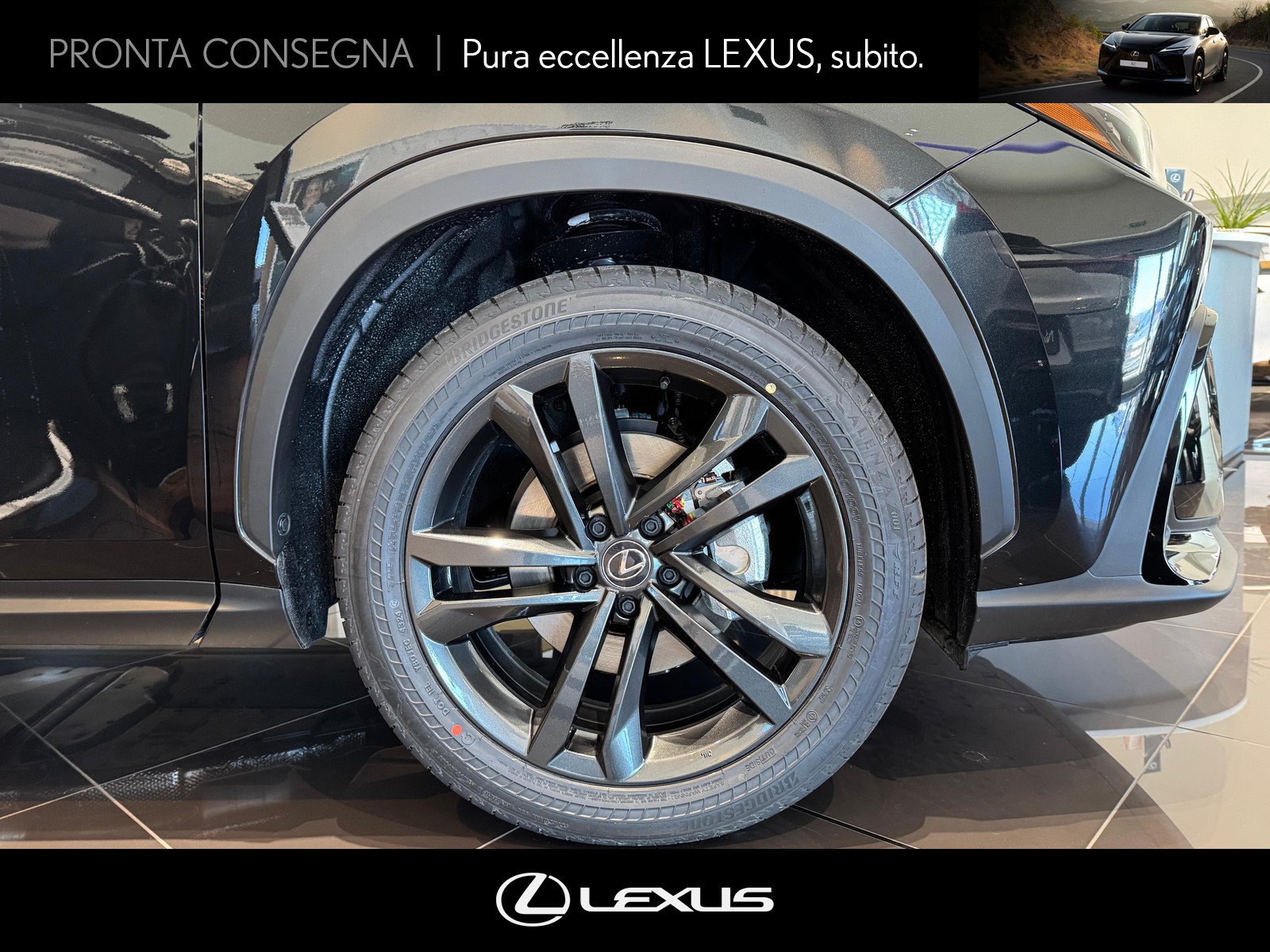 CARINI Lexus NX