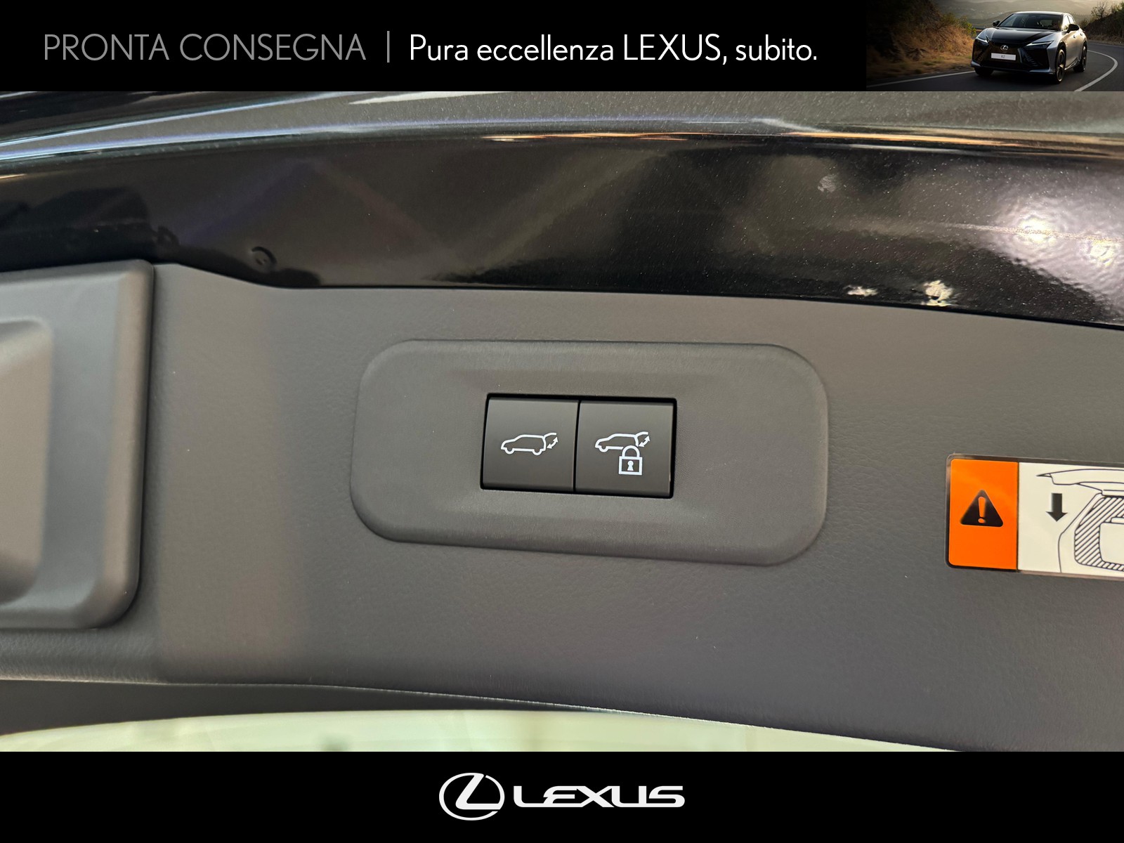 CARINI Lexus NX