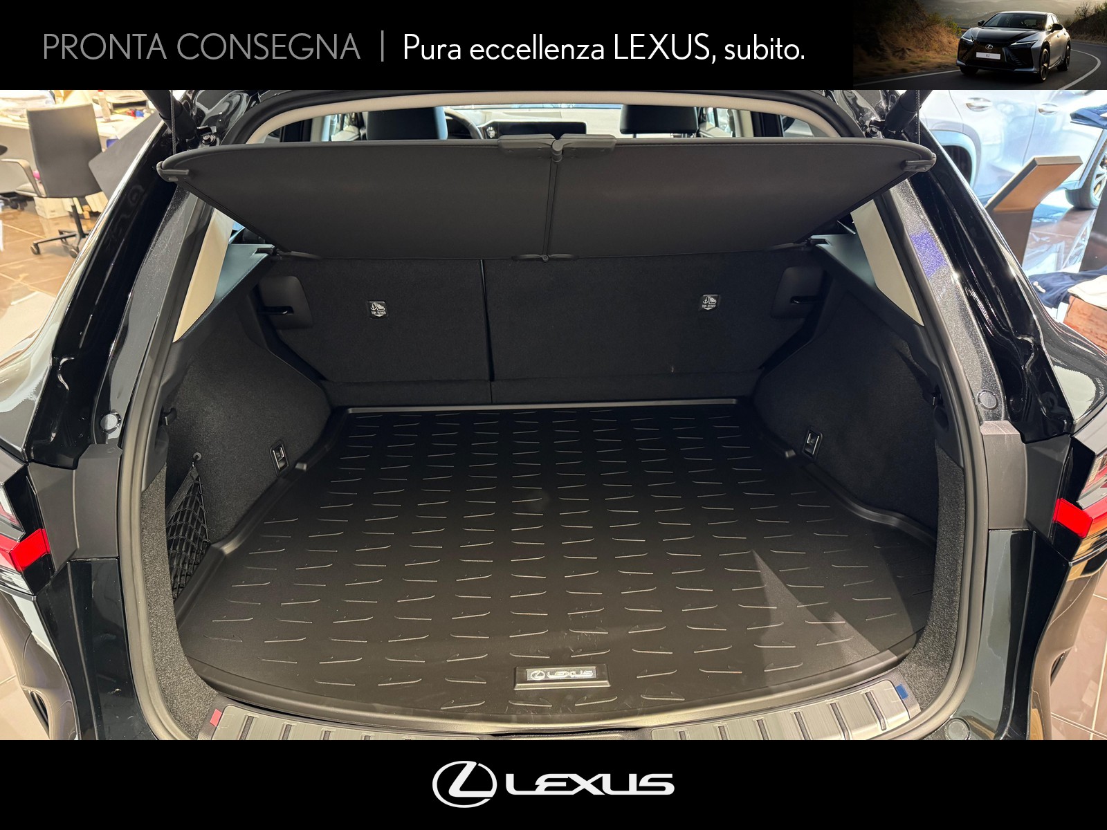 CARINI Lexus NX