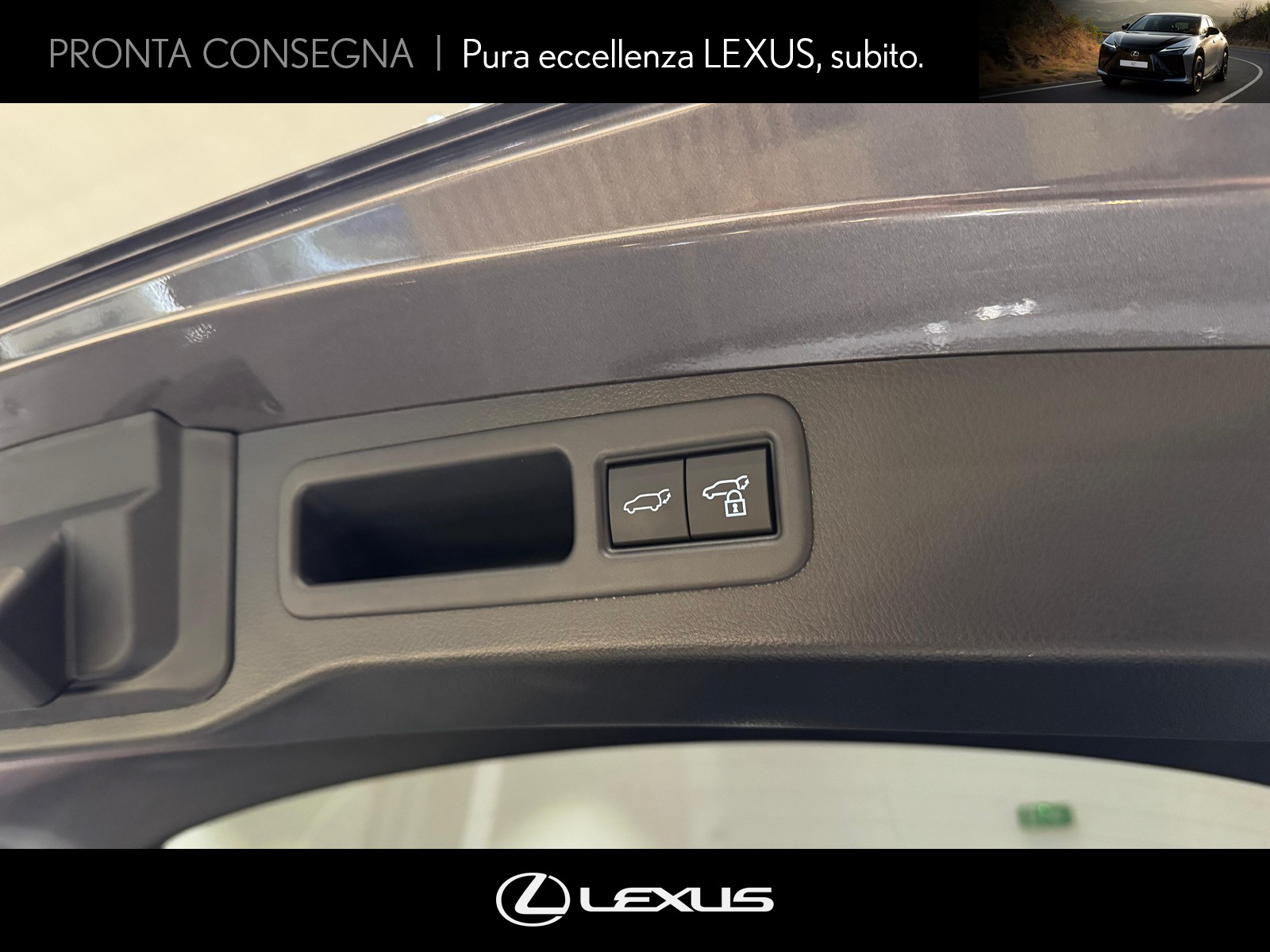 CARINI Lexus RX