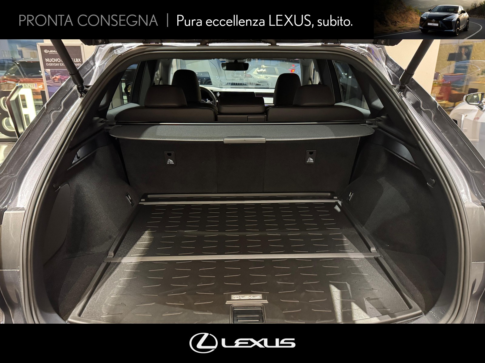 CARINI Lexus RX