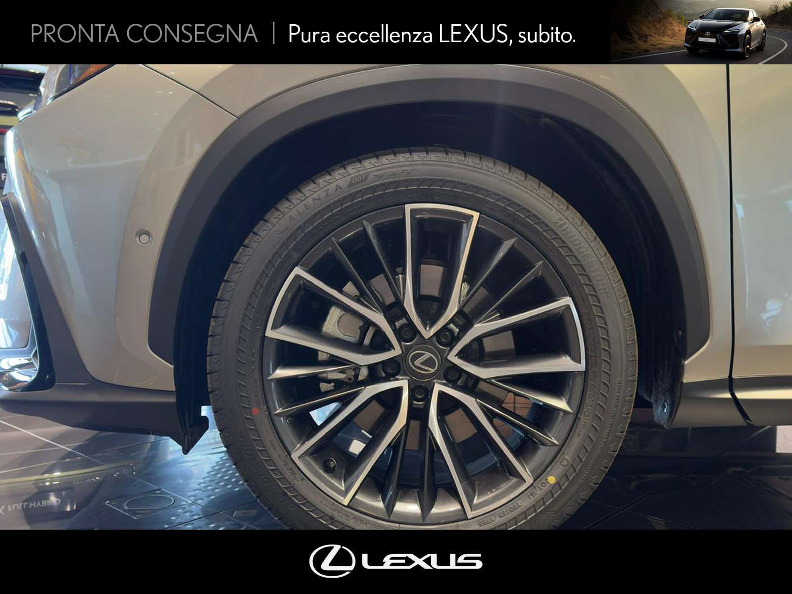 CARINI Lexus NX