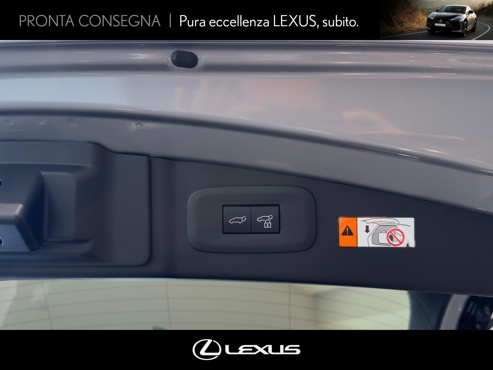 CARINI Lexus RZ