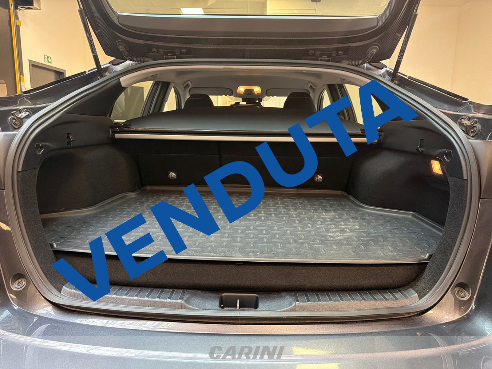 CARINI Toyota Prius