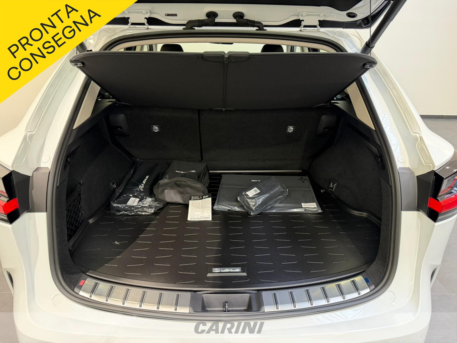 CARINI Lexus NX
