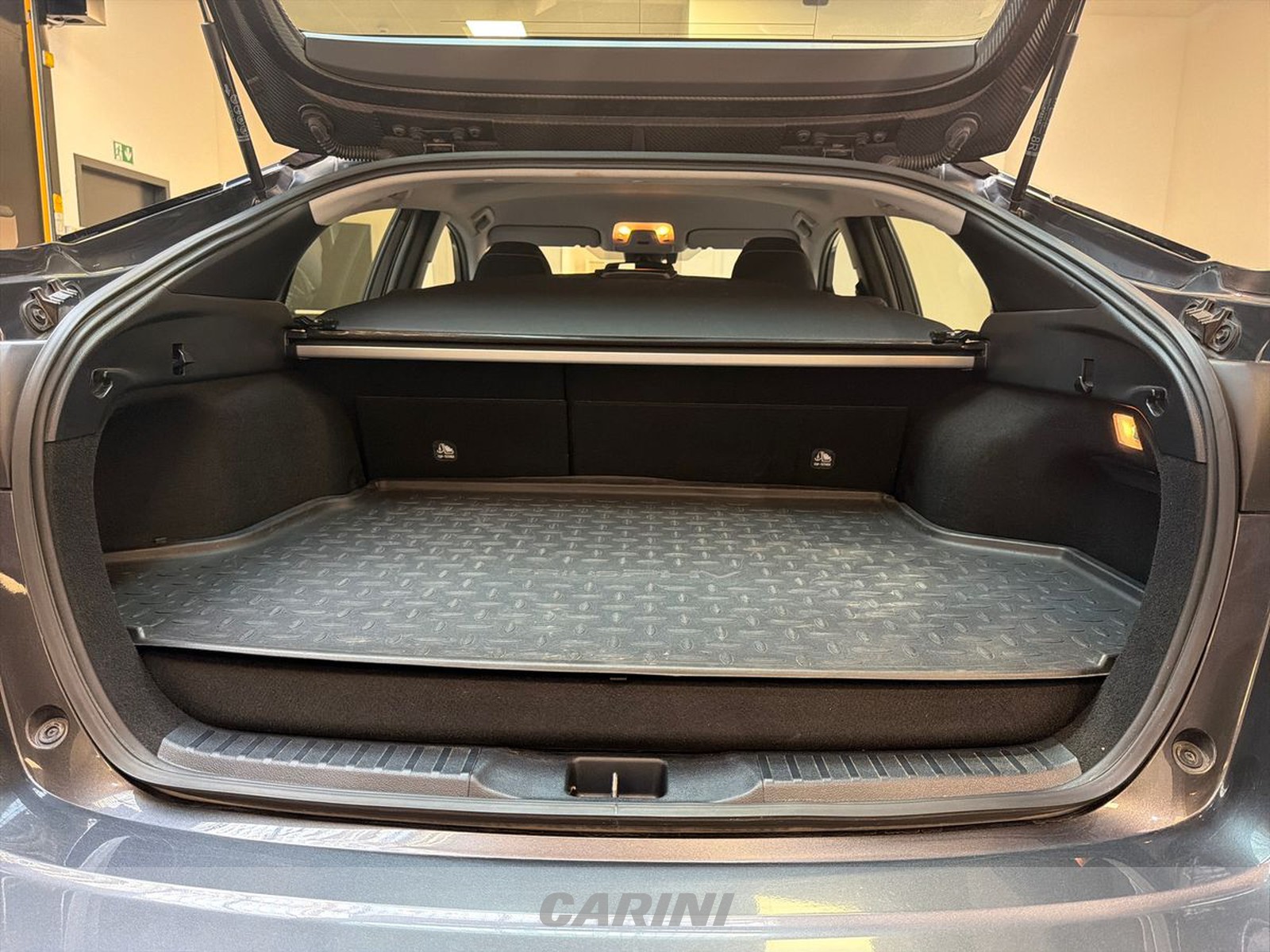 CARINI Toyota Prius
