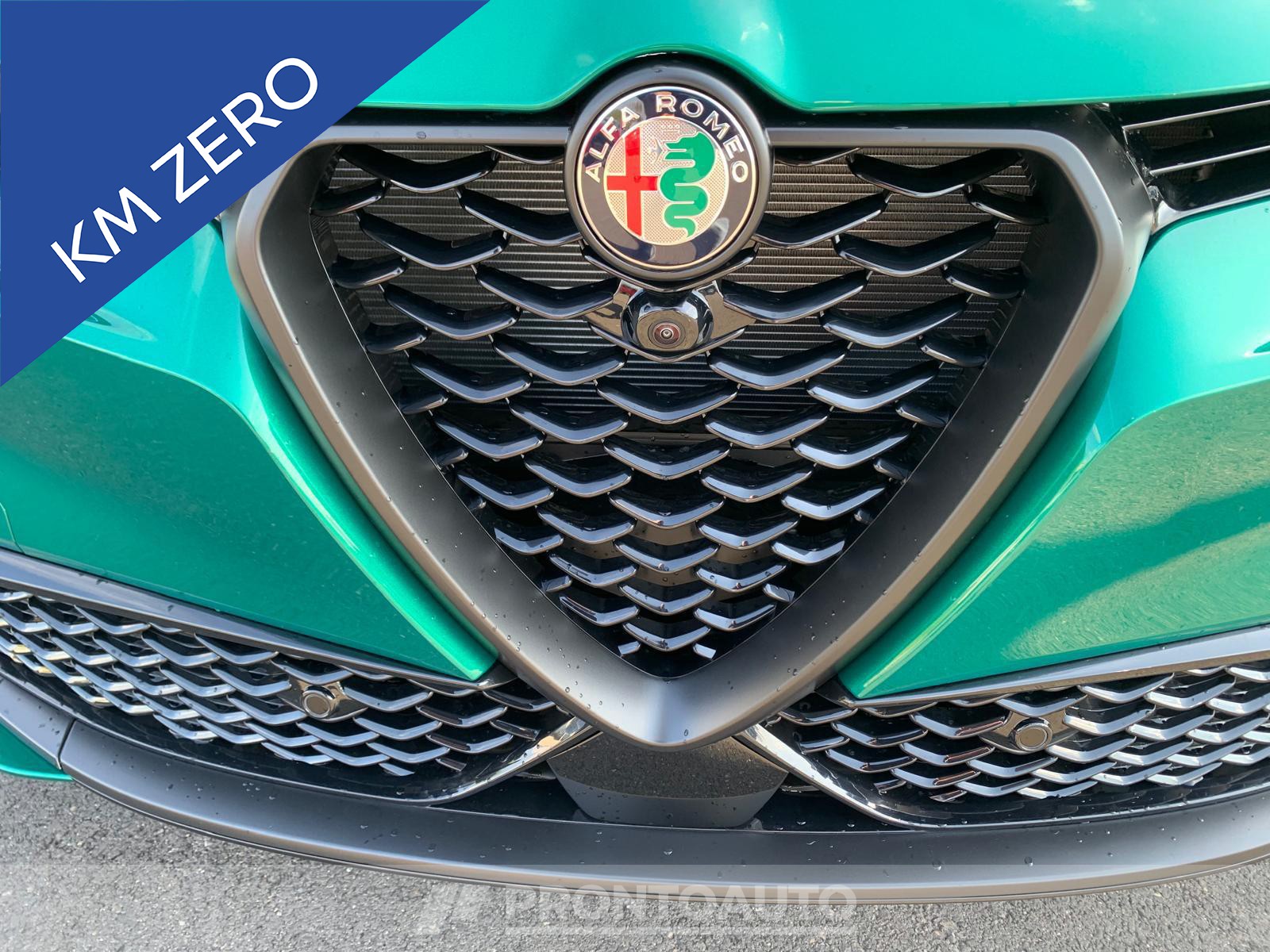 PRONTOAUTO Alfa Romeo Tonale