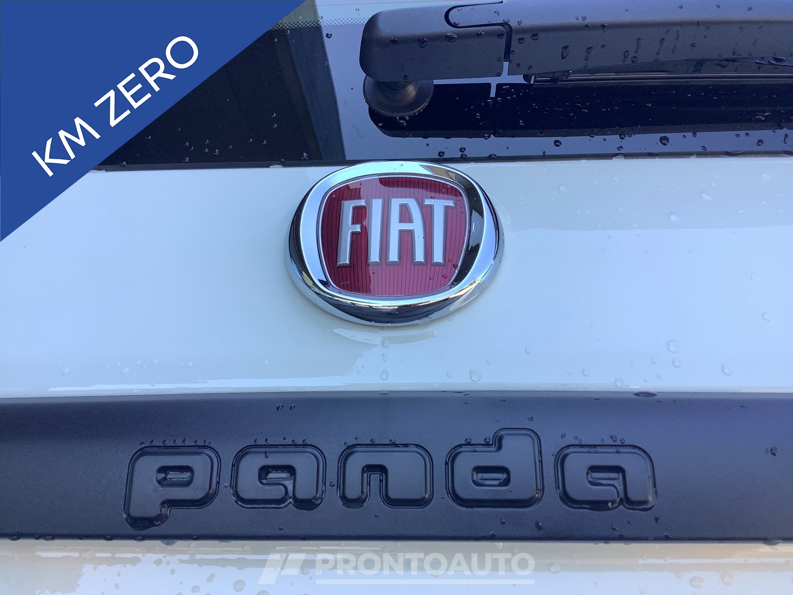 PRONTOAUTO Fiat Pandina