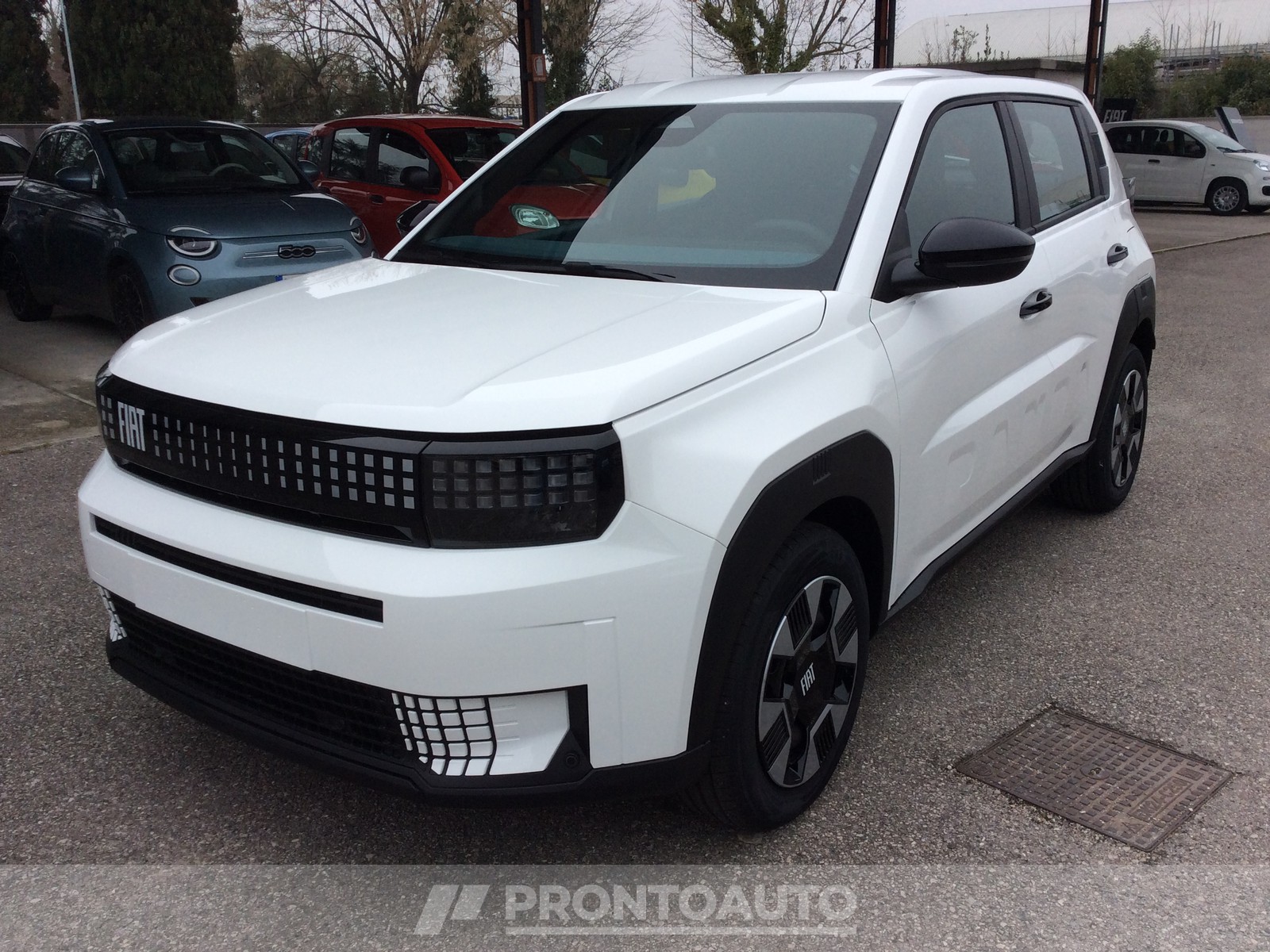 PRONTOAUTO Fiat Grande Panda